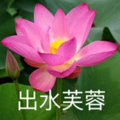 上海高考本科志愿填报7月1日启动